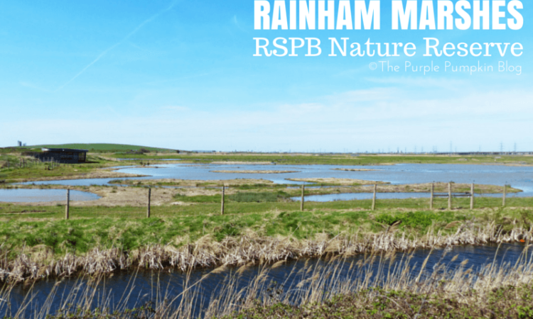 RSPB Rainham Marshes