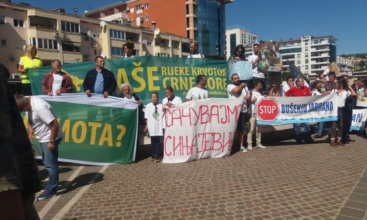 Građanski protest za spas ekološke Crne Gore