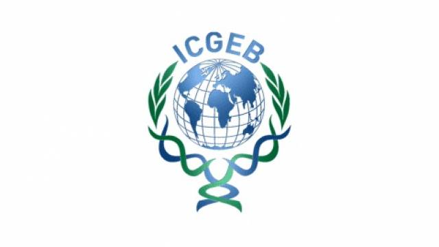 ICGEB