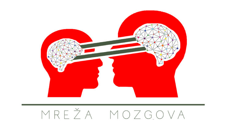 Mreža mozgova