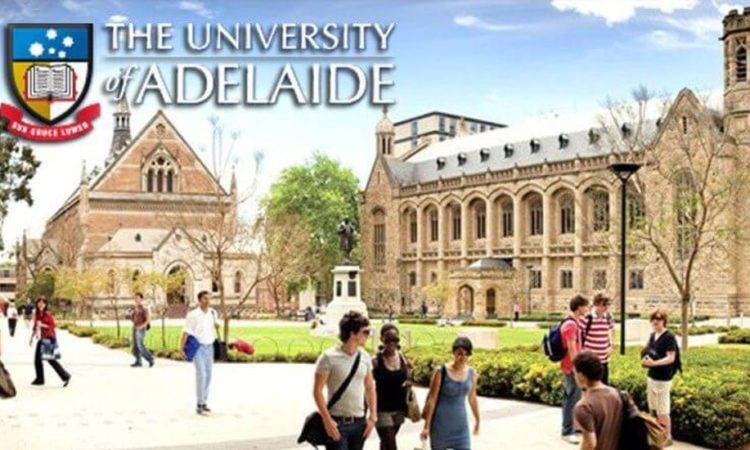 University-of-Adelaide