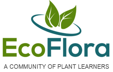 ecoflora