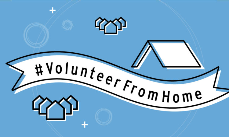 volunteer from home